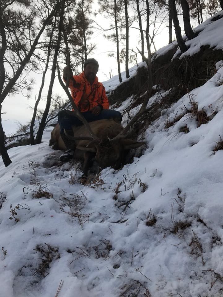 Hunting trophy